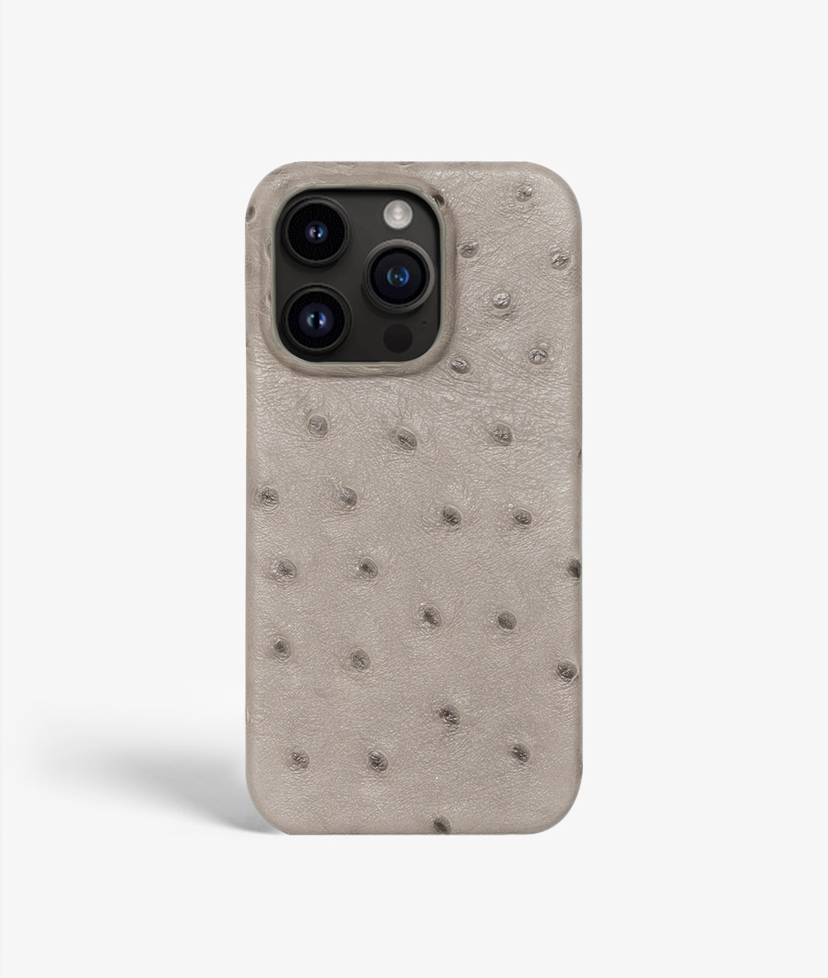 Coque iPhone 13 Pro Ostrich Grey