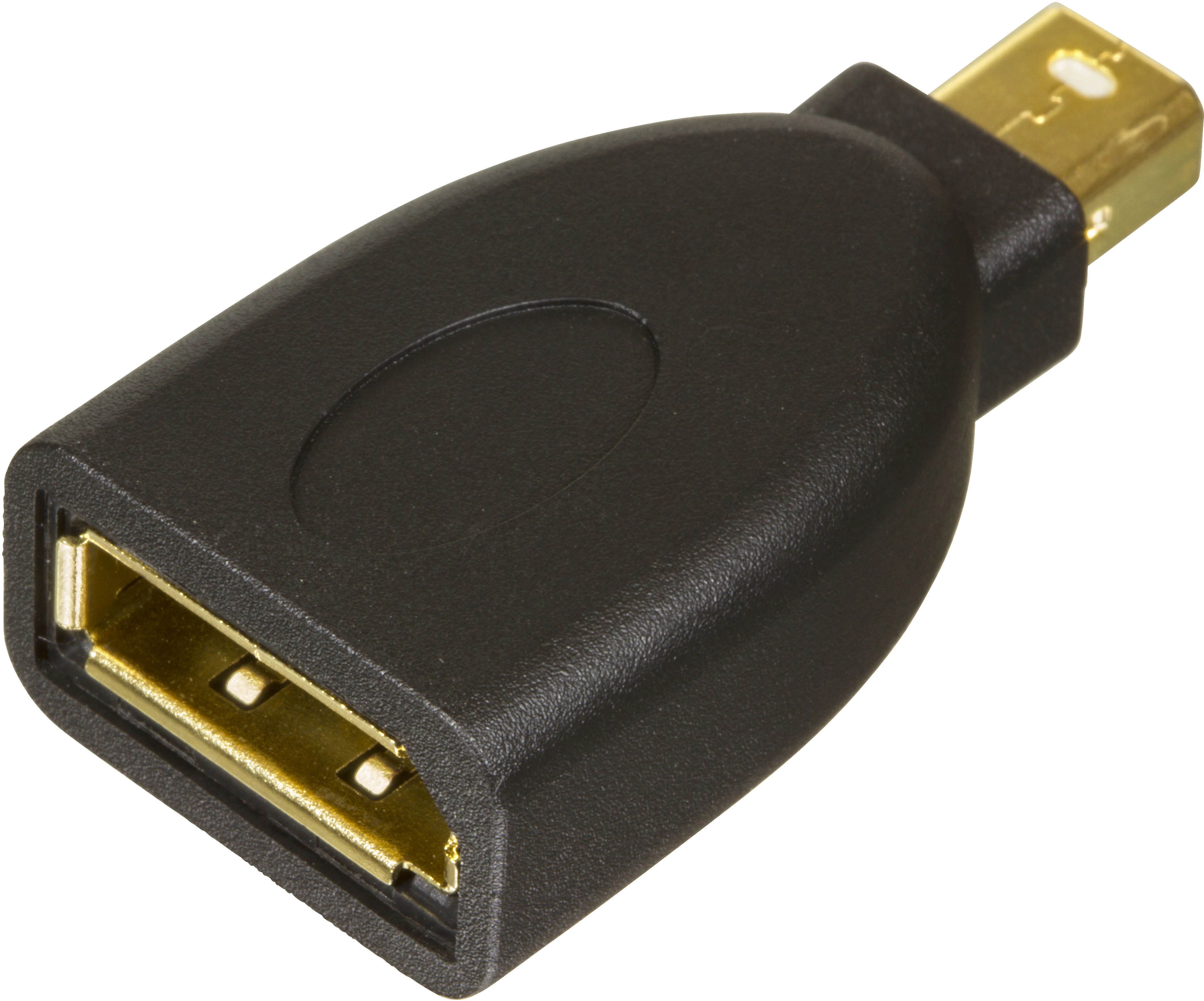 Adaptateur DisplayPort vers Mini DisplayPort, noir