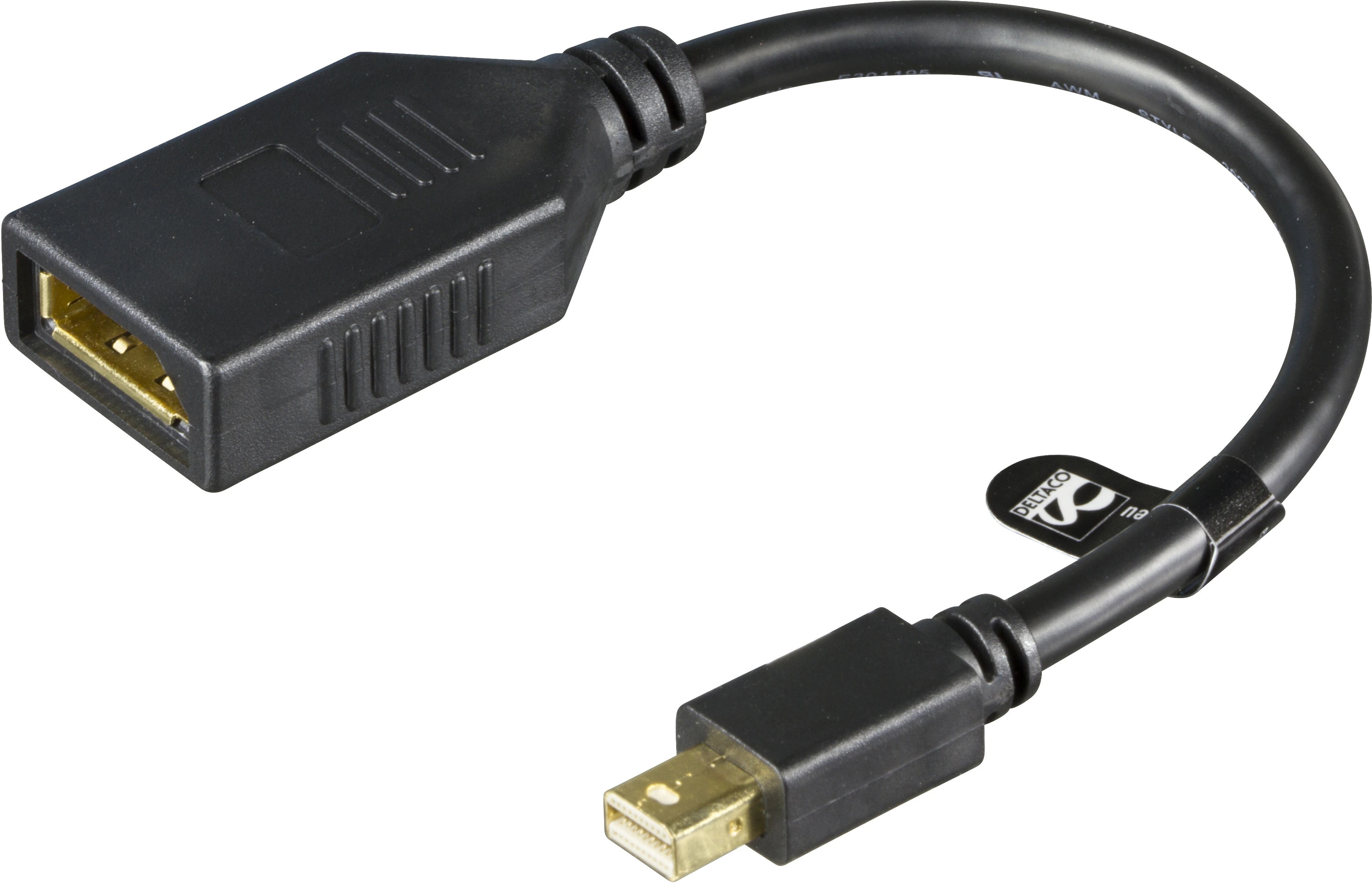 Adaptateur DisplayPort vers Mini DisplayPort de 0,2 m, noir