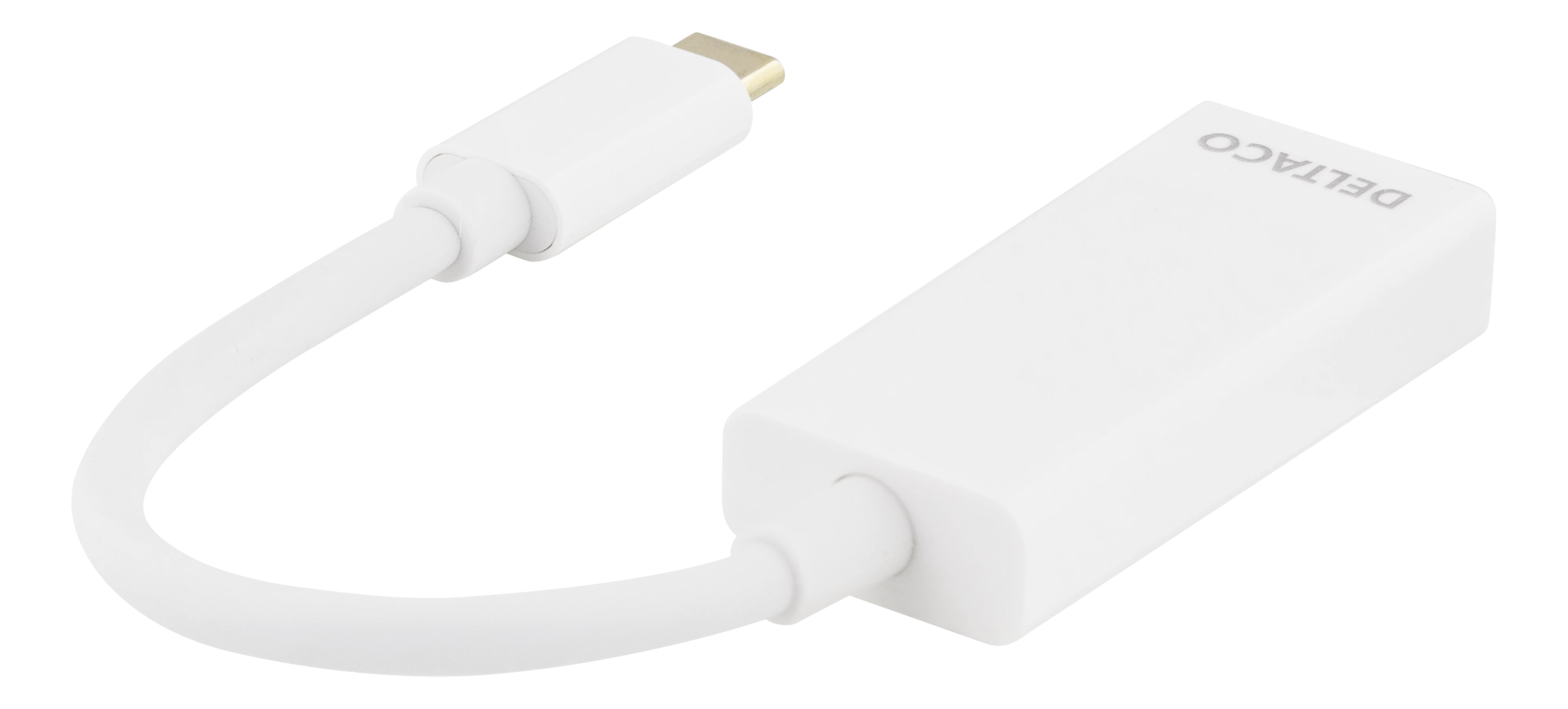 Adaptateur USB-C vers DisplayPort, blanc