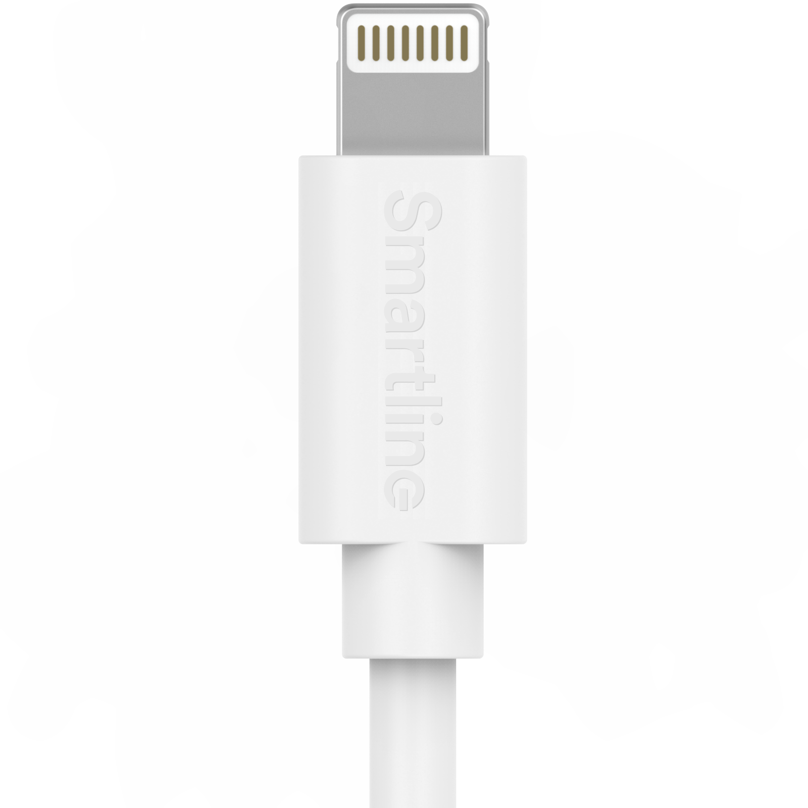 Câble Long USB-C vers Lightning 2 mètres iPad Mini 4 7.9 (2015) blanc